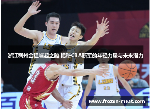 浙江稠州金租崛起之路 揭秘CBA新军的年轻力量与未来潜力
